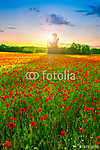 Poppies field at sunset vászonkép, poszter vagy falikép
