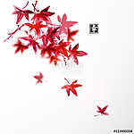 Vörös japán juharfalevél fehér háttéren vászonkép, poszter vagy falikép