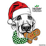 Karácsonyi kutya keksszel vászonkép, poszter vagy falikép