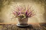 Részlet a szép heather virág a pot, vintage stílusban vászonkép, poszter vagy falikép