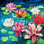 Water Lily vászonkép, poszter vagy falikép
