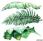 Tropical watercolor leaves set vászonkép, poszter vagy falikép