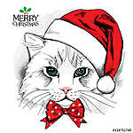 Karácsonyi macska felirattal vászonkép, poszter vagy falikép