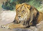 Pihenő oroszlán vászonkép, poszter vagy falikép