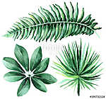 Tropical watercolor leaves set. vászonkép, poszter vagy falikép