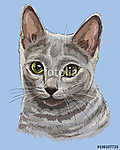 Orosz kék cica (akvarell) vászonkép, poszter vagy falikép
