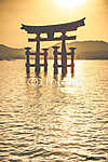 Miyajima, Híres nagy Shinto torii Japánban. vászonkép, poszter vagy falikép
