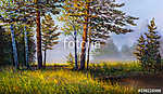 Landscape, mountain river. Picture oil paints on a canvas. vászonkép, poszter vagy falikép