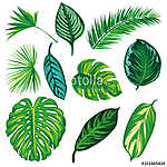 Trópusi levelek gyűjteménye vászonkép, poszter vagy falikép