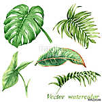 Set of watercolor tropical plants leaves isolated on white. vászonkép, poszter vagy falikép