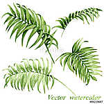 Watercolor palm leaves isolated on white. vászonkép, poszter vagy falikép