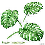 Set of watercolor tropical plants leaves. vászonkép, poszter vagy falikép