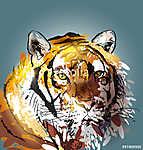 Színes vektoros illusztráció fej tigris vászonkép, poszter vagy falikép