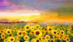Olajfestés sárga-arany Napraforgó, Daisy virágok a mezekben. vászonkép, poszter vagy falikép