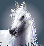 vektoros illusztrációja egy ló fejét vászonkép, poszter vagy falikép