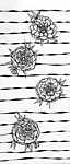 Fekete-fehér rózsák rajz.jpg vászonkép, poszter vagy falikép