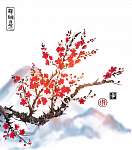 Keleti sakura cseresznyefa virágban fehér alapon vászonkép, poszter vagy falikép