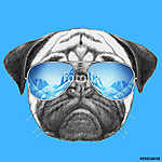 Portrait of Pug Dog with mirror sunglasses. Hand drawn illustrat vászonkép, poszter vagy falikép
