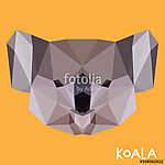 Poligonális koala háttér vászonkép, poszter vagy falikép