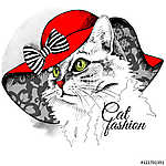 Macska kalapban vászonkép, poszter vagy falikép