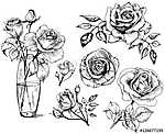 rózsák, gyűjtemény kézzel rajzolt rózsa, vektor vászonkép, poszter vagy falikép