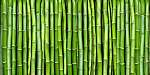bambusz vászonkép, poszter vagy falikép
