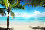 Caribbean sea and coconut pulms vászonkép, poszter vagy falikép