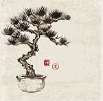 Bonsai fenyőfa kézzel festett tintával vászonkép, poszter vagy falikép