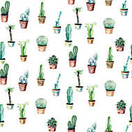 Cserepes kaktuszok tapétaminta vászonkép, poszter vagy falikép