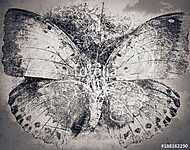 grunge butterfly background texture vászonkép, poszter vagy falikép