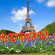 Eiffel-torony tavasszal, Franciaország vászonkép, poszter vagy falikép