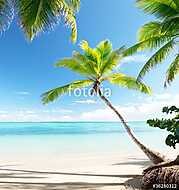 palms on Caribbean beach vászonkép, poszter vagy falikép