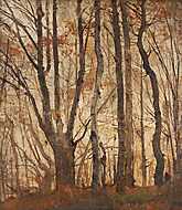 Őszi erdő vászonkép, poszter vagy falikép