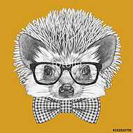Portrait of Hedgehog with glasses and bow tie. Hand drawn illust vászonkép, poszter vagy falikép