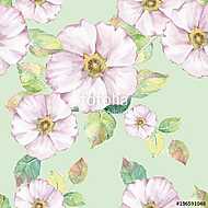 Delicate white flowers. Hand drawn watercolor floral seamless pa vászonkép, poszter vagy falikép
