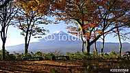 Fuji-hegység őszi szezonja vászonkép, poszter vagy falikép