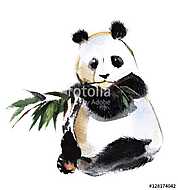 Panda with bamboo sprig isolated on a white background, watercol vászonkép, poszter vagy falikép
