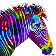 Színes zebra illusztráció vászonkép, poszter vagy falikép