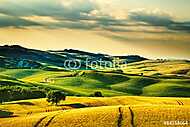 Toszkána tavaszi, dombjai a naplementében. Volterra vidéki tájke vászonkép, poszter vagy falikép