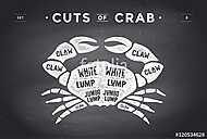 Cut of meat set. Poster Butcher diagram and scheme - Crab vászonkép, poszter vagy falikép