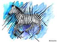 zebra vászonkép, poszter vagy falikép