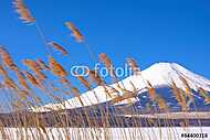 Mountain Fuji a füvön virágokkal elfújva az előtérben vászonkép, poszter vagy falikép
