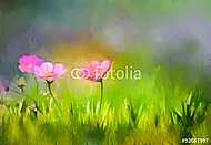 Az olajfestés fűvirágai. Kézi festés közelről rózsaszín cosm vászonkép, poszter vagy falikép