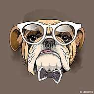 Bulldog portrait in a glasses and with a tie. Vector illustratio vászonkép, poszter vagy falikép