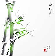 Bambusz vászonkép, poszter vagy falikép