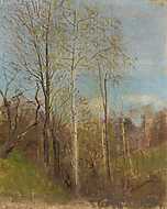 Tavaszi erdő vászonkép, poszter vagy falikép