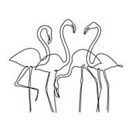 Flamingók (vonalrajz, line art) vászonkép, poszter vagy falikép