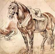 Ló (tanulmány) vászonkép, poszter vagy falikép