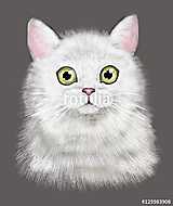 Aranyos macska illusztráció vászonkép, poszter vagy falikép