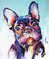 Francia bulldog portré vászonkép, poszter vagy falikép